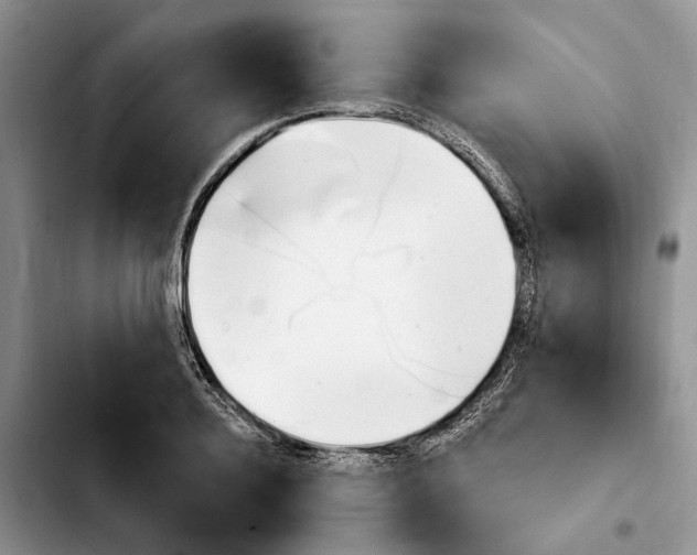 X0000103930940200810101350