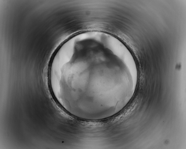 X0000103930941200810101350