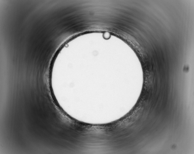 X0000103930942200810101350