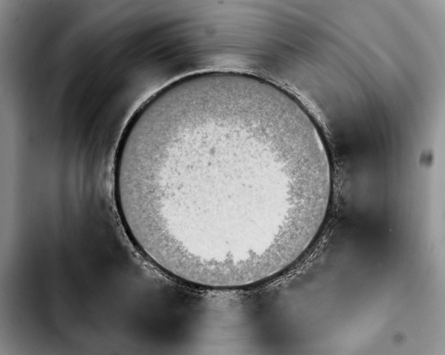 X0000103930944200810101350