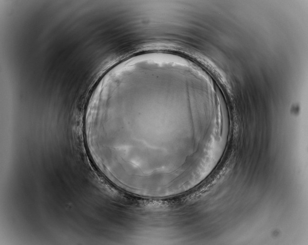 X0000103930945200810101350