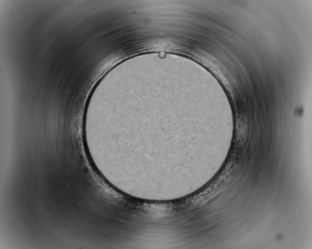 X0000103930946200810101350