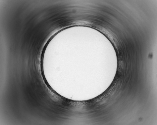 X0000103930947200810101350