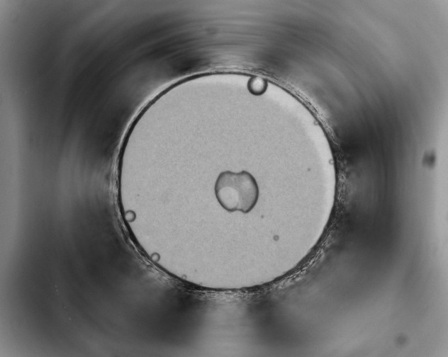 X0000103930948200810101350