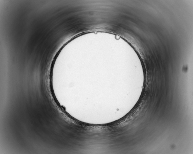 X0000103930949200810101350