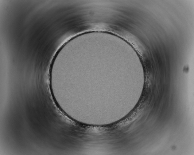 X0000103930950200810101350