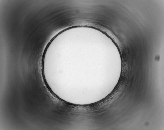 X0000103930951200810101350