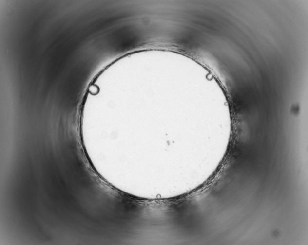 X0000103930952200810101350