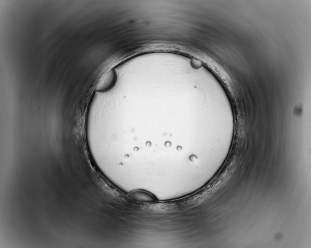 X0000103930953200810101350