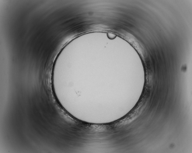 X0000103930954200810101350