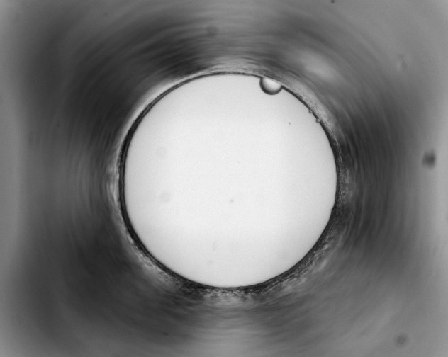 X0000103930955200810101350