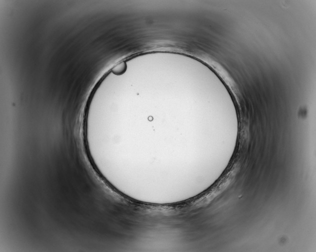 X0000103930957200810101350