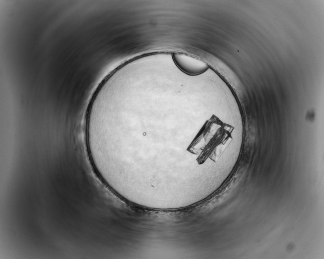 X0000103930958200810101350