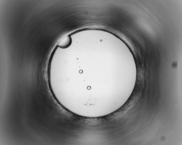 X0000103930959200810101350