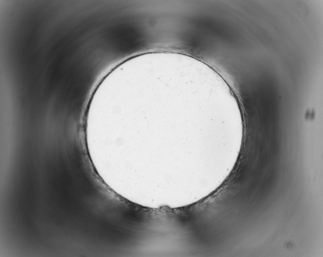 X0000103930960200810101350