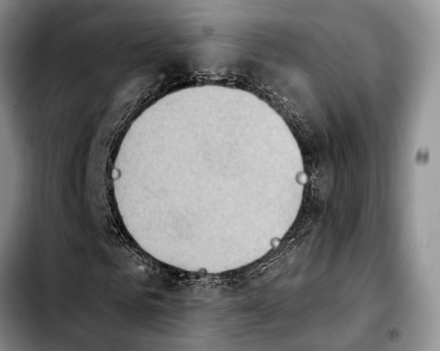 X0000103930961200810101350