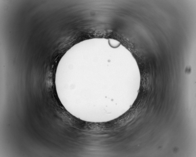 X0000103930962200810101350