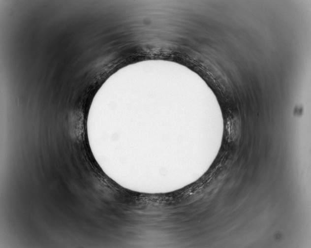 X0000103930963200810101350