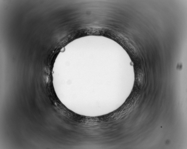 X0000103930964200810101350