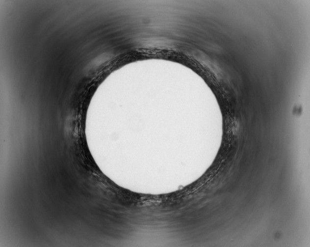 X0000103930965200810101350