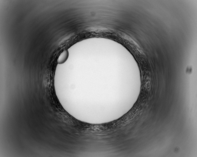 X0000103930966200810101350