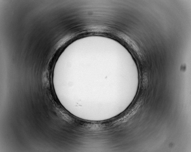 X0000103930970200810101349