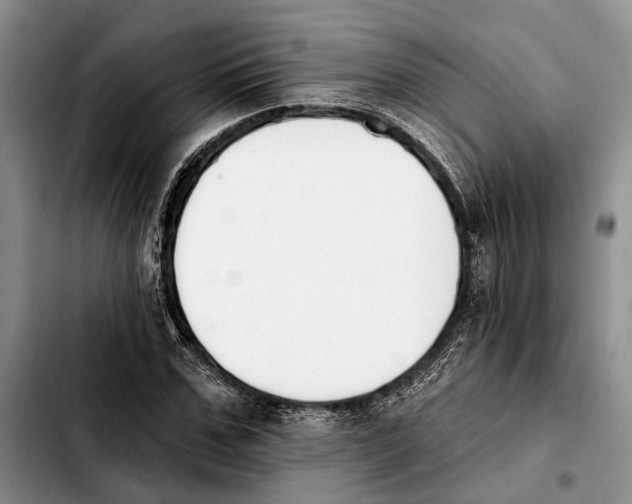 X0000103930971200810101349