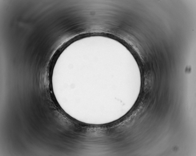 X0000103930973200810101349