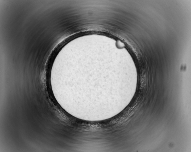 X0000103930975200810101349