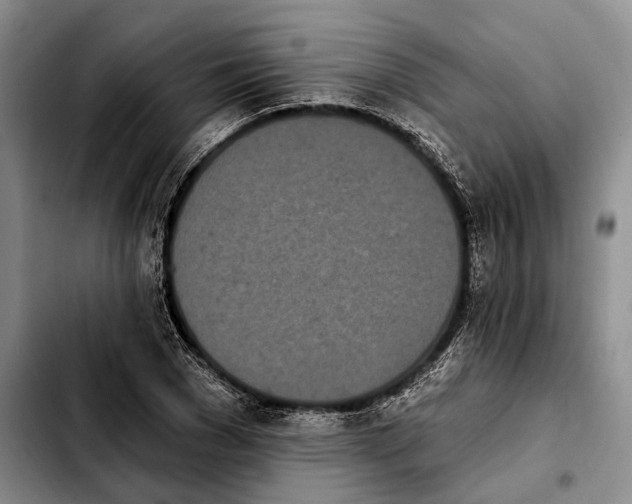 X0000103930977200810101349