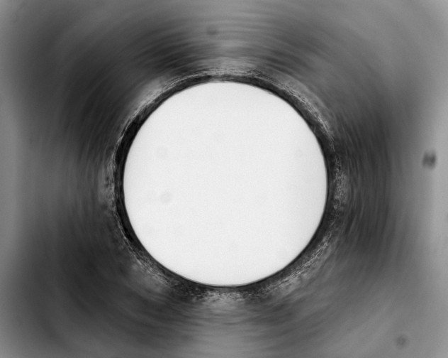 X0000103930978200810101349