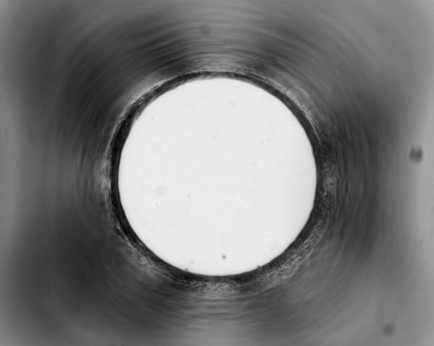 X0000103930979200810101349