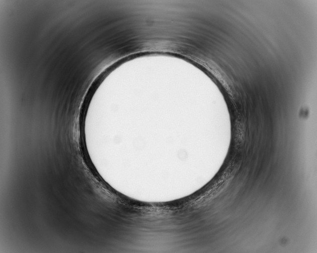 X0000103930980200810101349