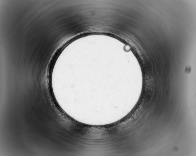 X0000103930981200810101349