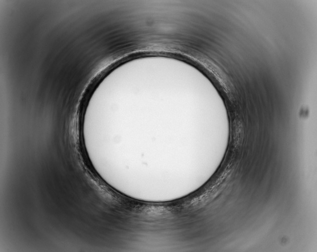 X0000103930982200810101349