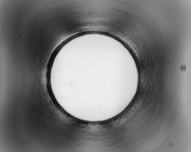 X0000103930983200810101349