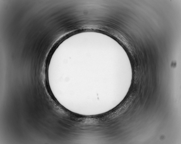 X0000103930984200810101349