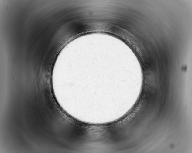 X0000103930985200810101349