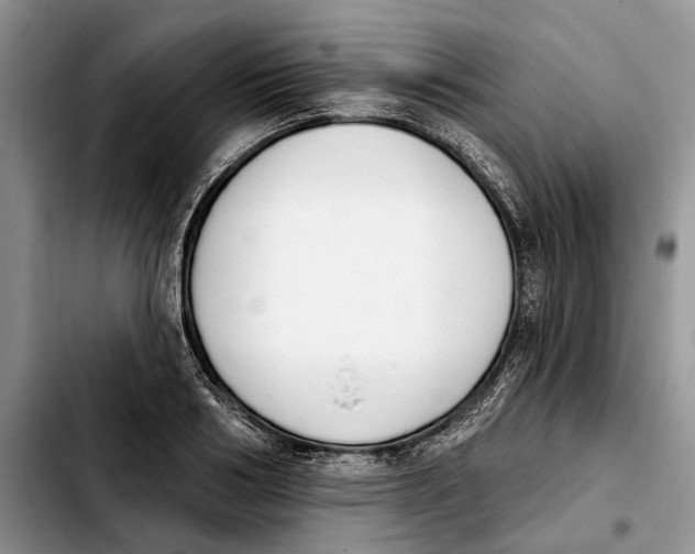 X0000103930986200810101349