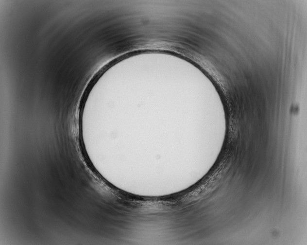 X0000103930988200810101349