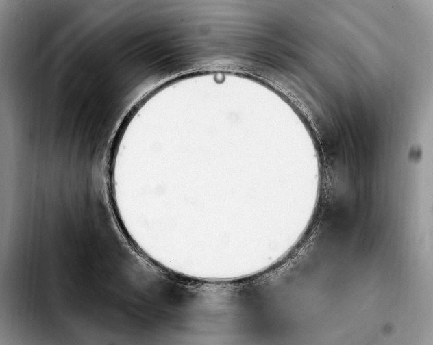 X0000103930989200810101349