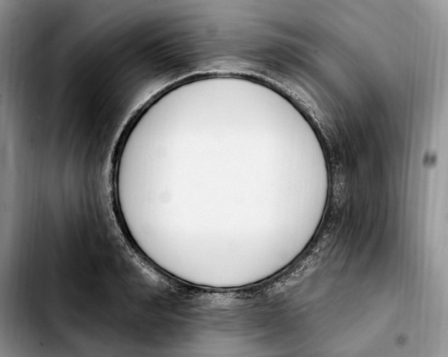 X0000103930990200810101349