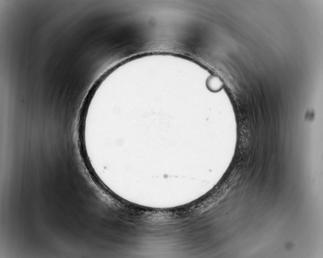 X0000103930991200810101349