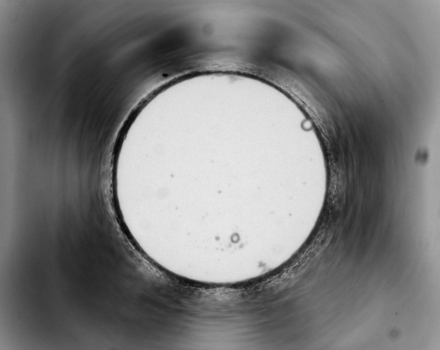 X0000103930992200810101349