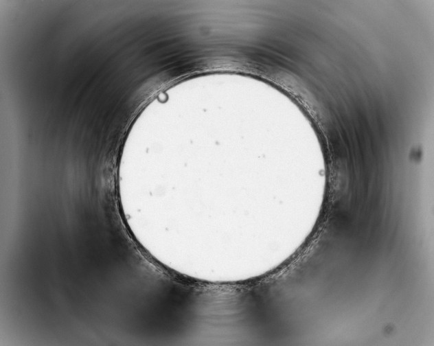 X0000103930993200810101349