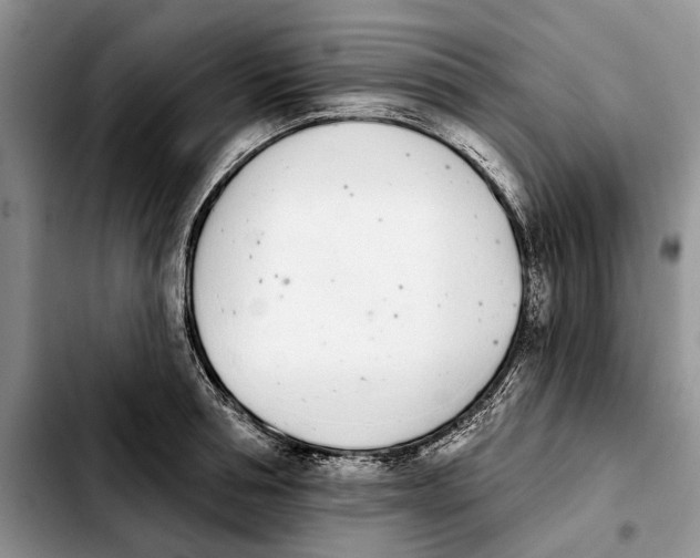 X0000103930994200810101349