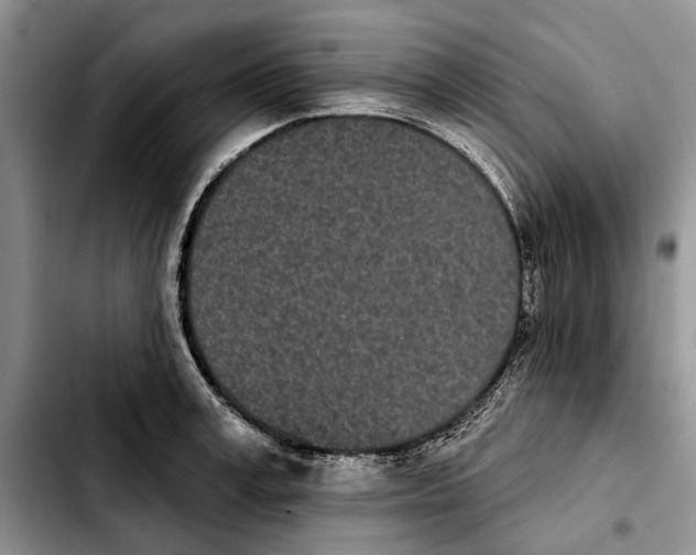 X0000103930995200810101349