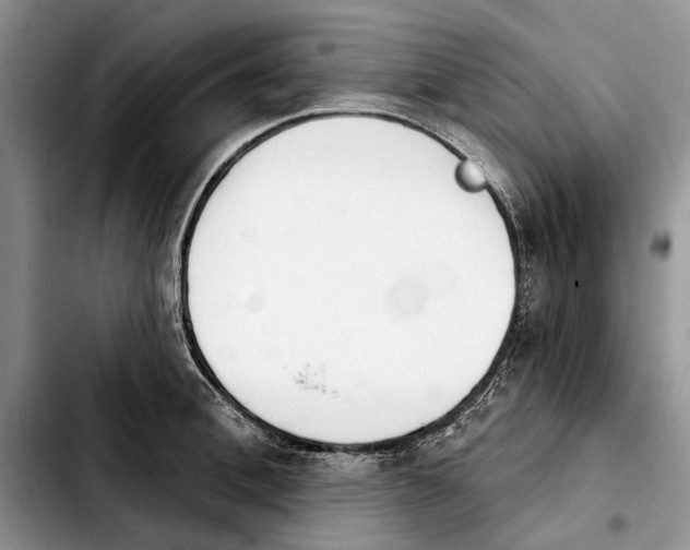 X0000103930996200810101349