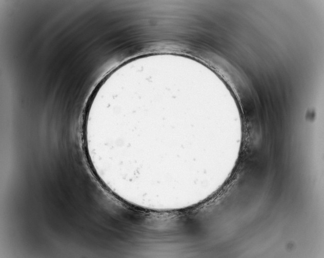 X0000103930997200810101349