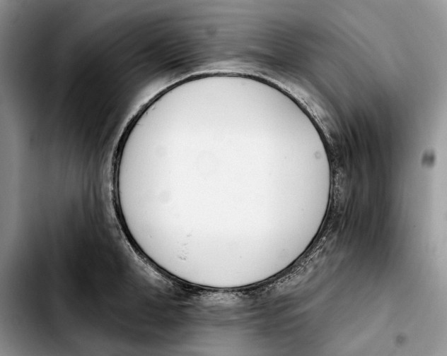 X0000103930998200810101349